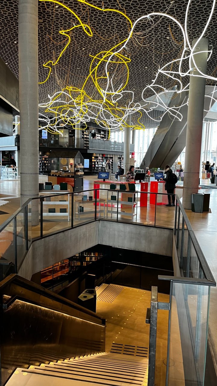 Deichman Bj&oslash;rvika library in Oslo: the Brainstorm neon installation under the honeycomb ceiling