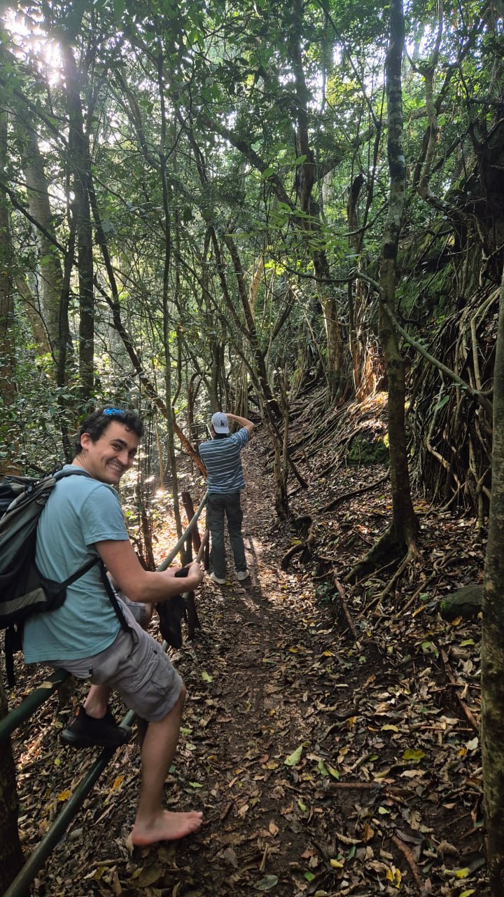 Trekking through dense riverine forest and banyan roots
