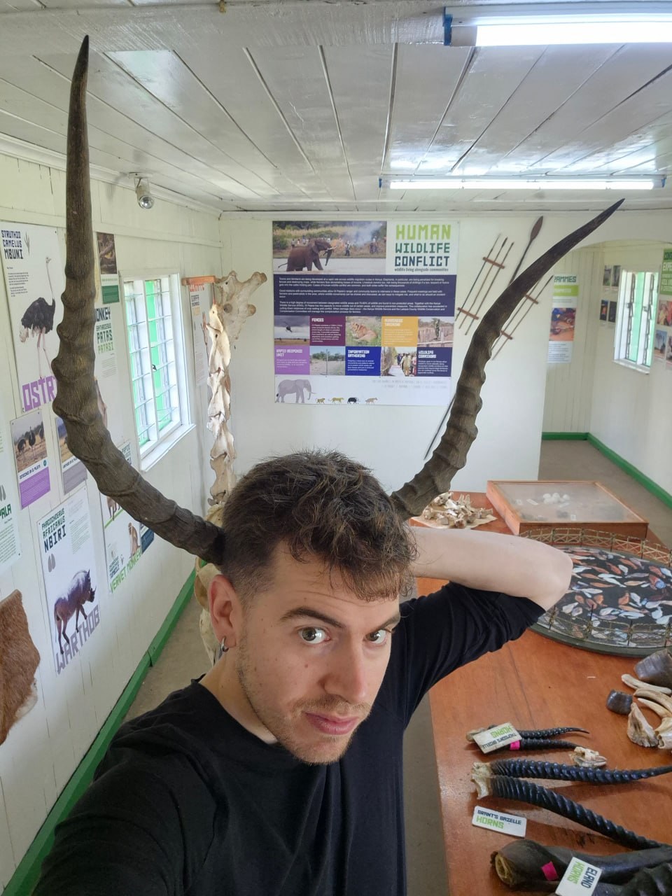 Fun photo at Ol Pejeta conservation center with giant horns