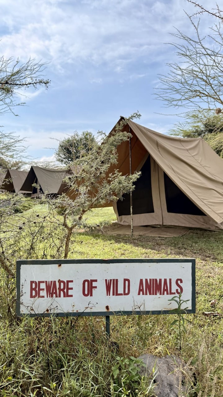 Safari field camp with Beware of Wild Animals sign