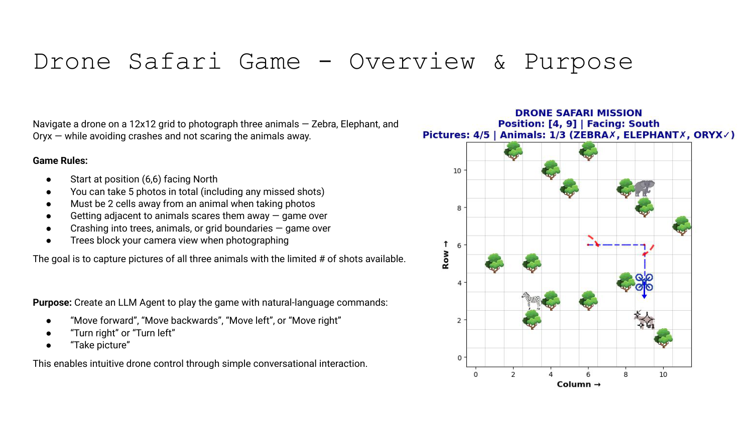 Drone Safari Game 12x12 grid environment overview from workshop slides